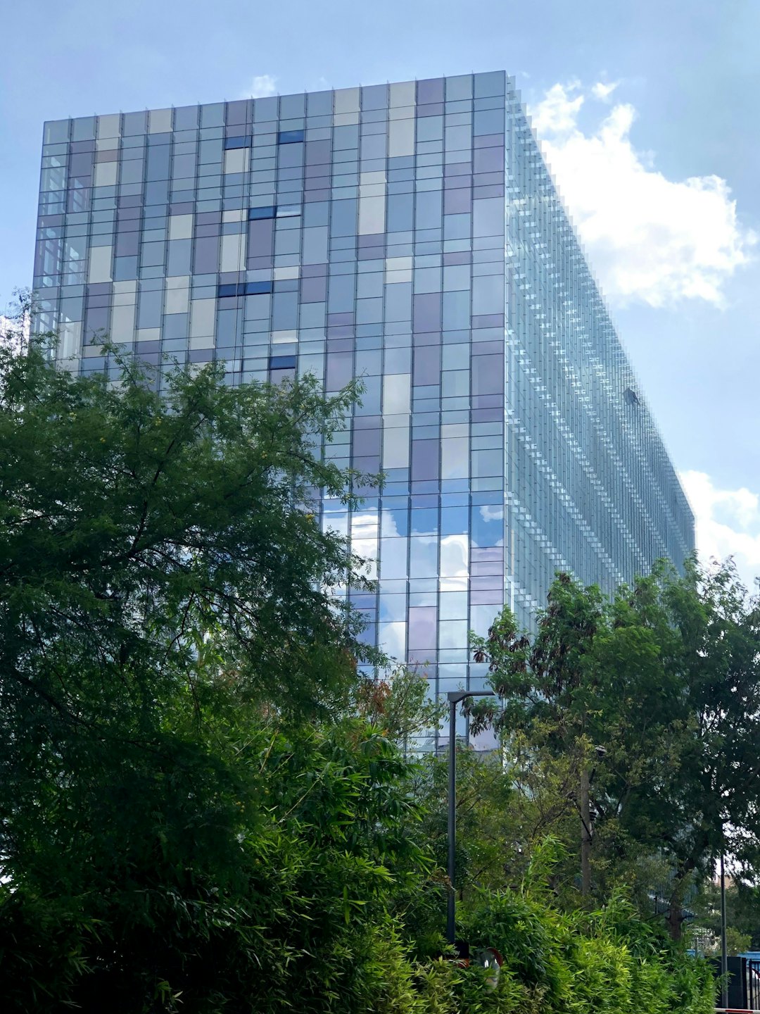 Modern glass office building facade towers over green trees.