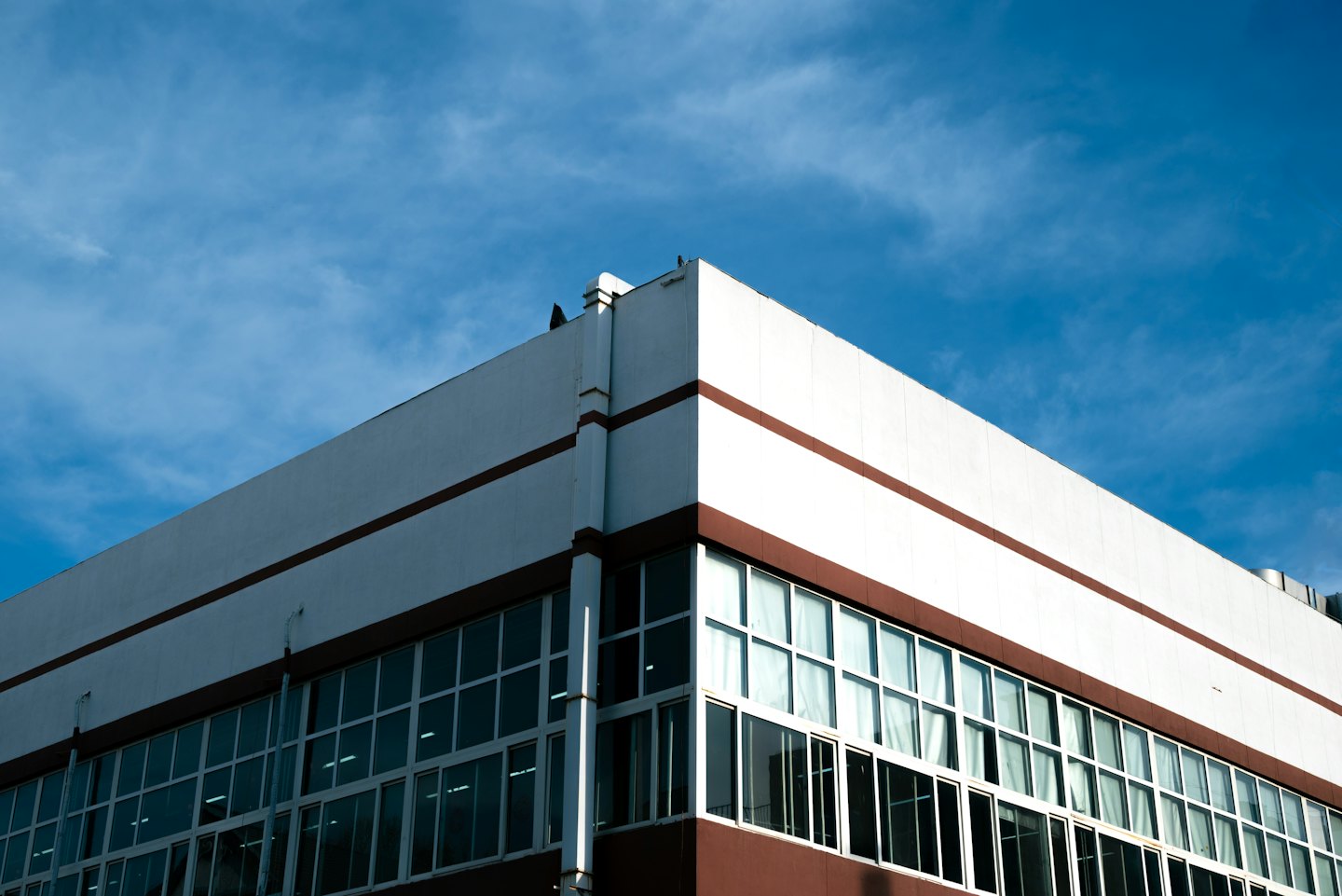 Modern white commercial building with dark brown accents and large windows.